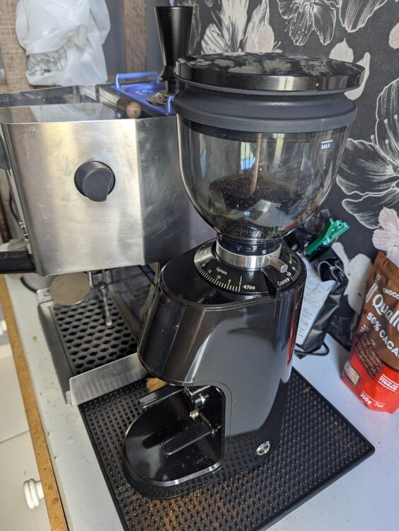 WhatsApp Image 2025-06-21 at 09.24.44.jpeg