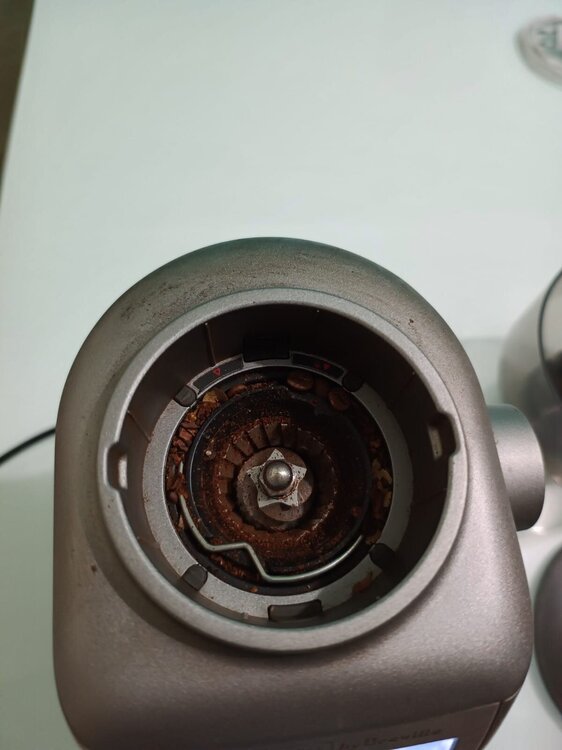 WhatsApp Image 2025-12-18 at 16.17.47.jpeg