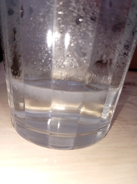 20260323_201139.jpg